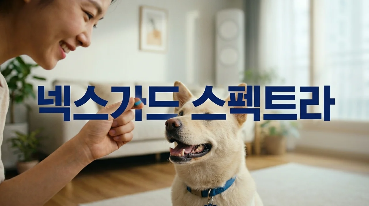 넥스가드 스펙트라: 강아지 심장사상충 및 종합 구충 완벽 가이드