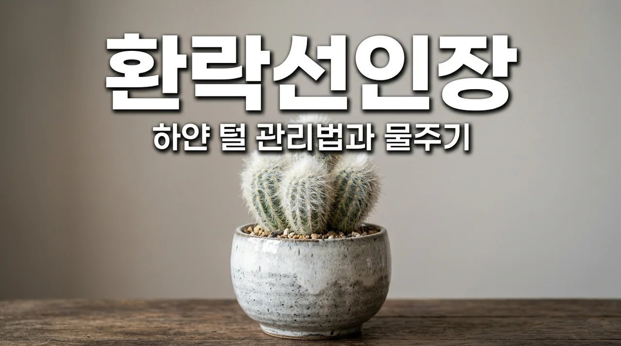 환락선인장 키우기 하얀 털 관리와 물주기 주의사항 3가지
