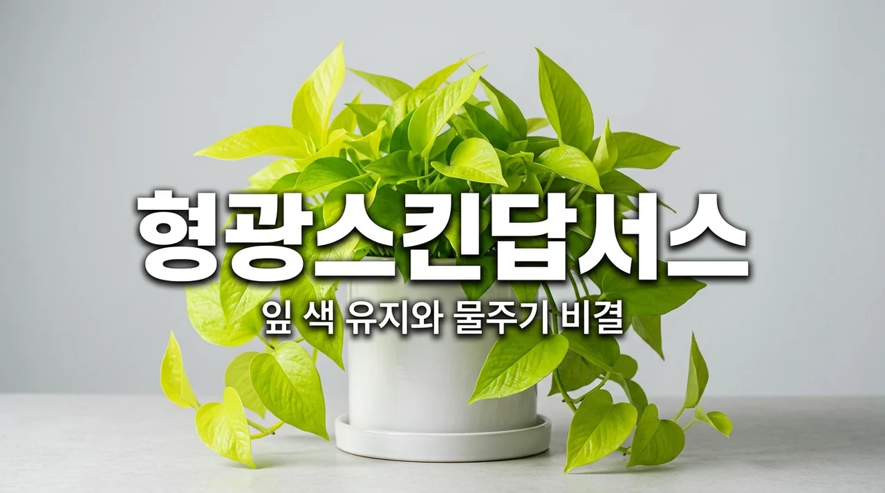 형광 스킨답서스 키우기 잎 색깔 유지하는 물주기와 번식 꿀팁