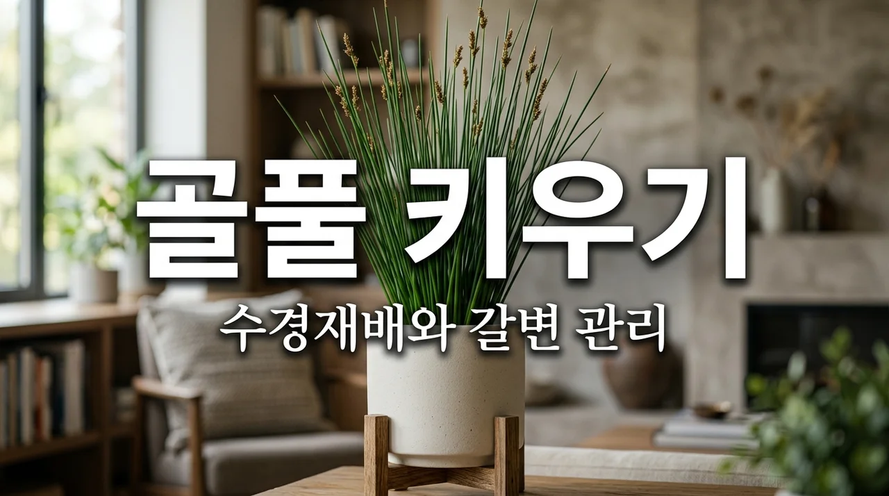 골풀 키우기 꼬불꼬불 매력 살리는 물주기 관리법과 갈변 방지 팁