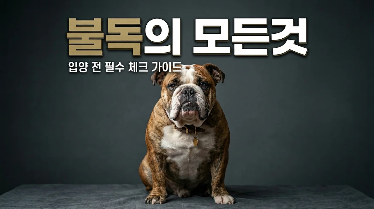 불독 성격과 프렌치 불독 특징 입양 전 꼭 알아야 할 주의사항 5가지