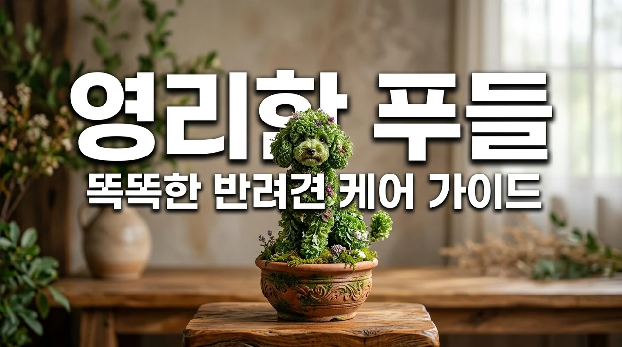 푸들 키우기 전 알아야 할 성격 특징과 지능적인 케어 방법