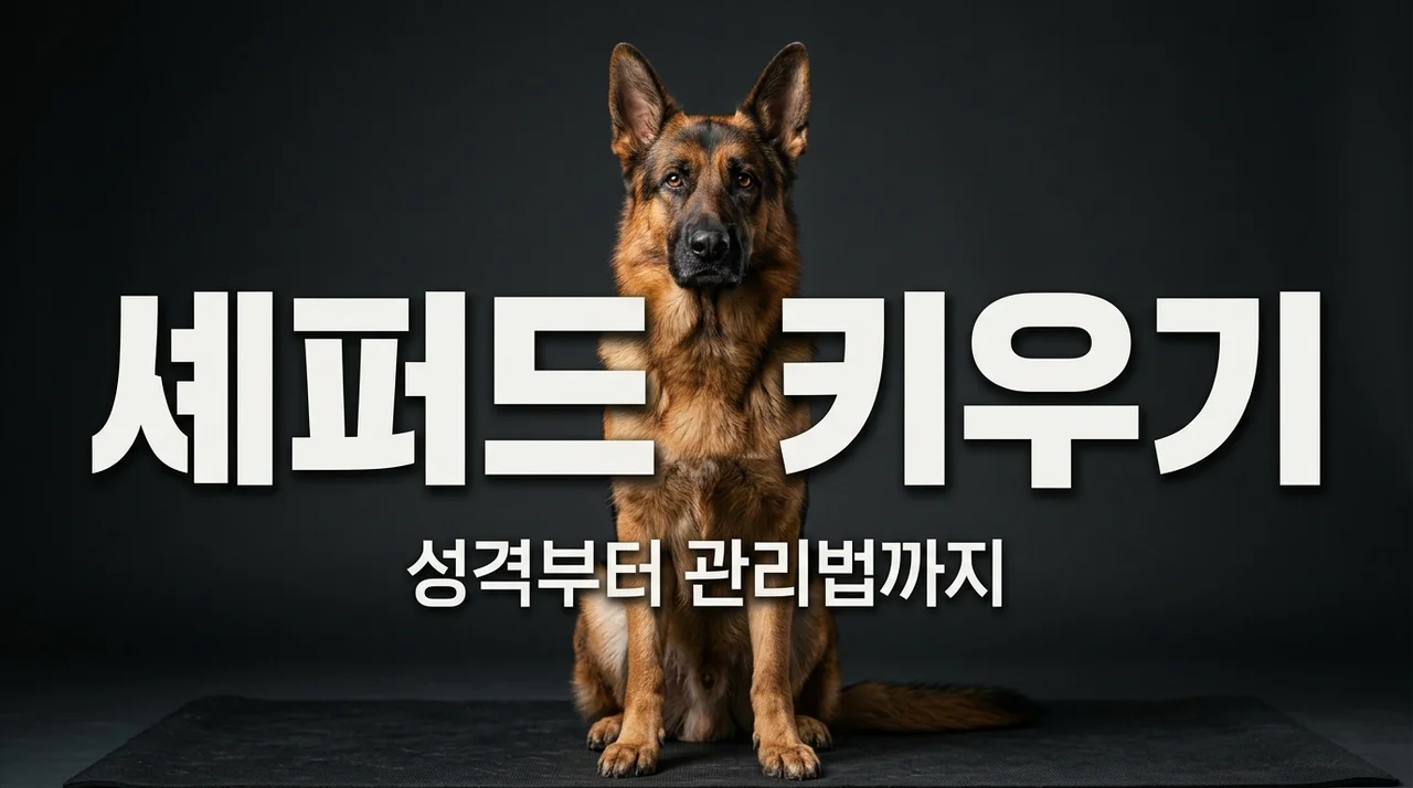 저먼 셰퍼드 성격 수명 관리법 키우기 전 꼭 알아야 할 정보