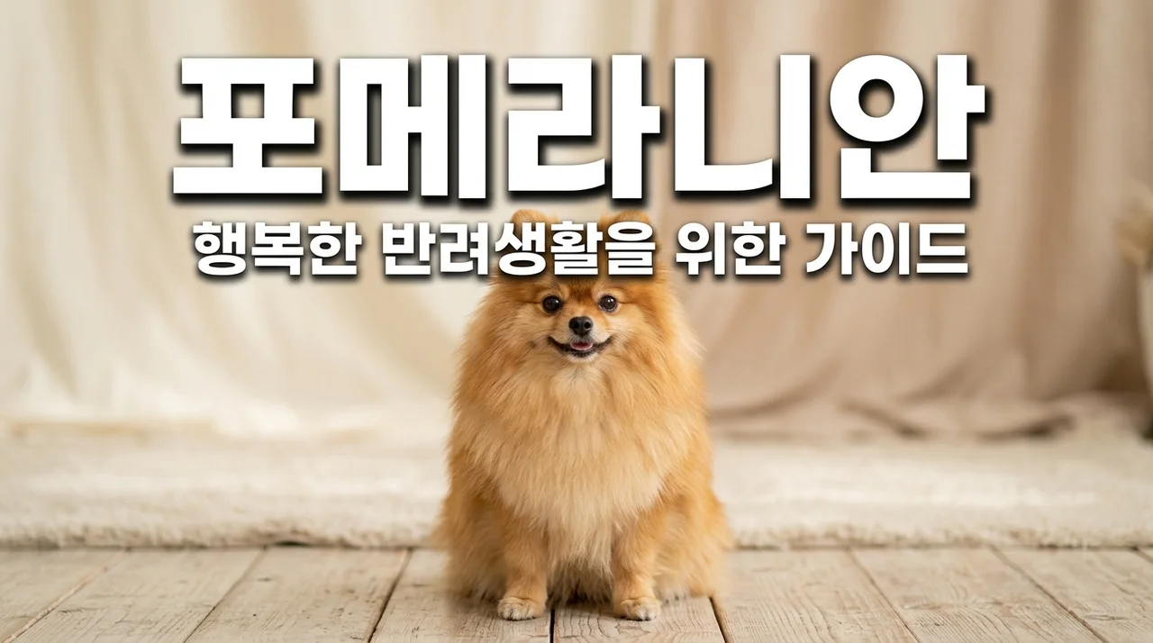 포메라니안 분양 전 필독! 털 빠짐과 슬개골 탈구 관리 노하우