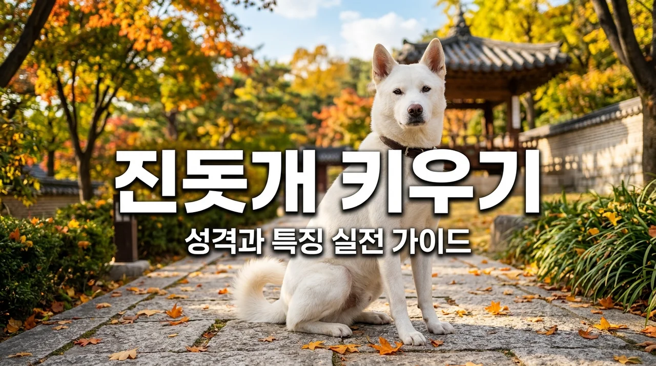 진돗개 성격 특징과 아파트 실내 육아 실전 팁 5가지