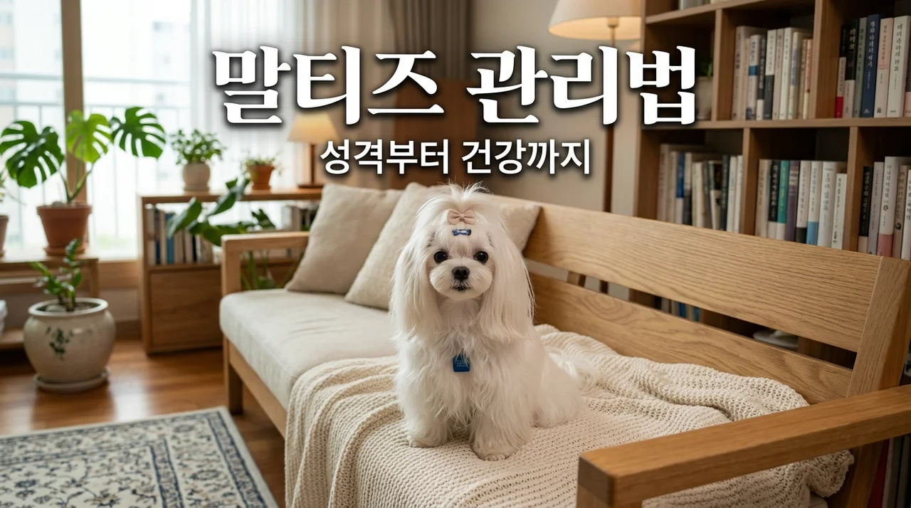 말티즈 성격과 눈물 관리법: 3년 차 견주가 알려주는 실전 꿀팁