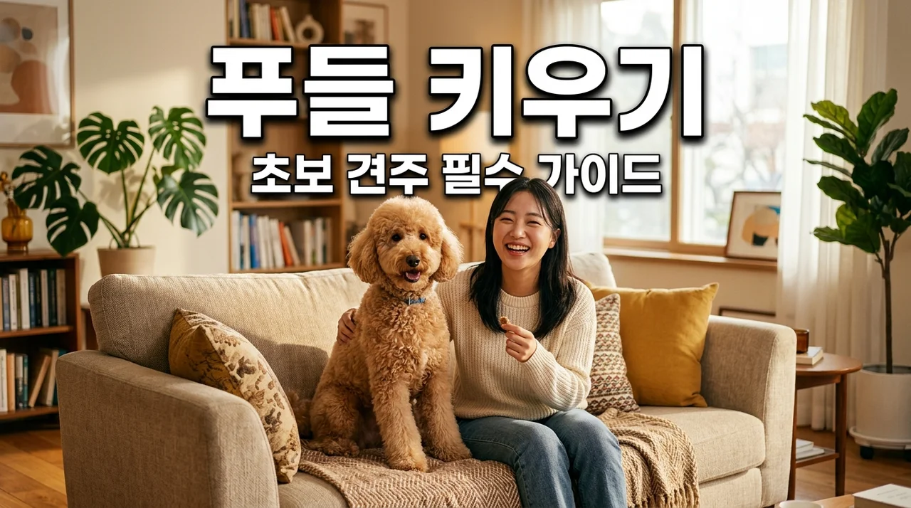 푸들 키우는 법: 지능 순위부터 털 관리 건강 체크리스트까지