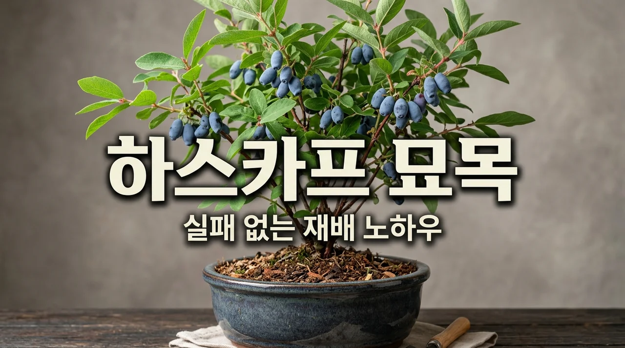 하스카프 묘목 선택부터 식재까지, 실패 없는 재배를 위한 실전 노하우