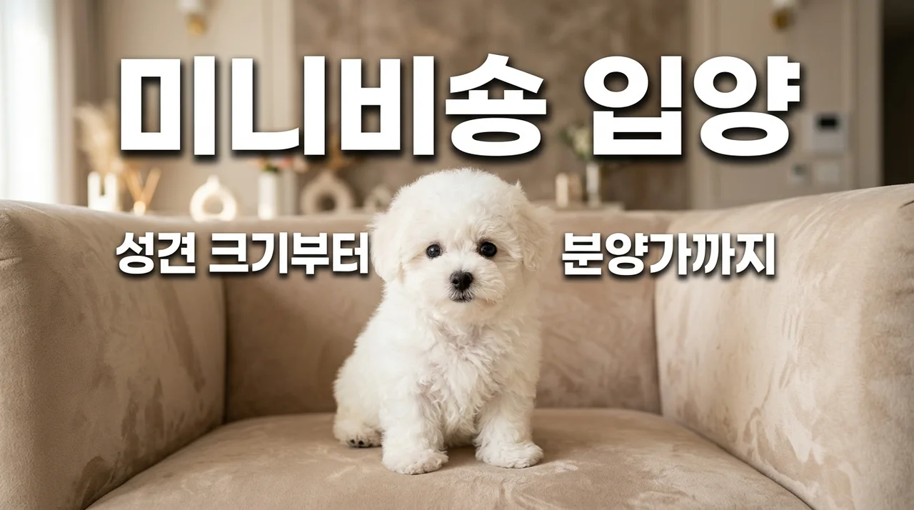 미니비숑 분양가 성견 크기 특징 총정리 | 입양 전 필수 체크리스트