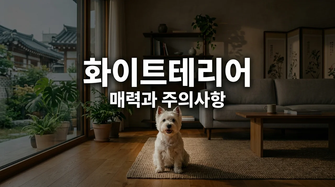 화이트테리어 성격 털빠짐 직접 키워보고 느낀 주의사항