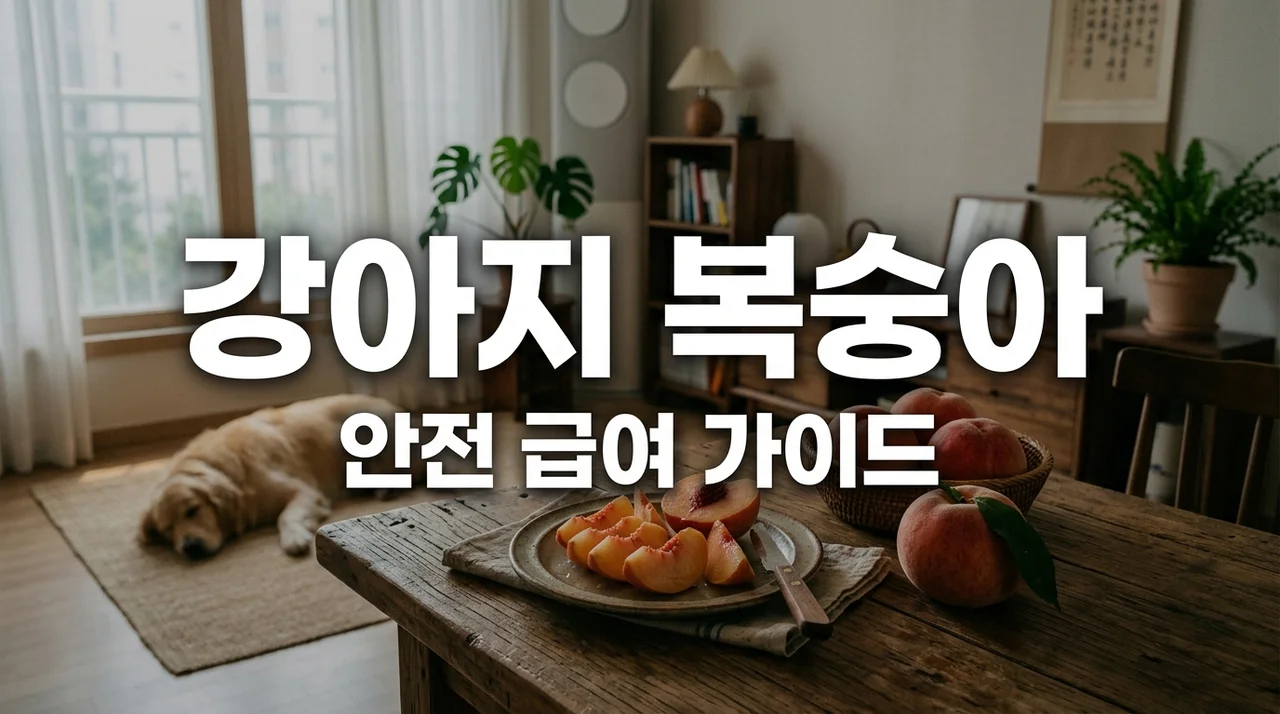 강아지 복숭아 급여 주의사항과 씨앗 위험성 직접 겪어본 후기