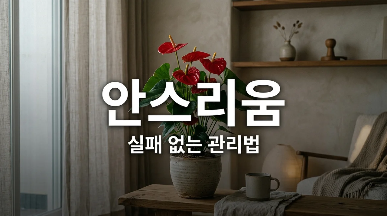 안스리움 키우기 잎이 타거나 꽃이 안 핀다면 이것만 체크하세요