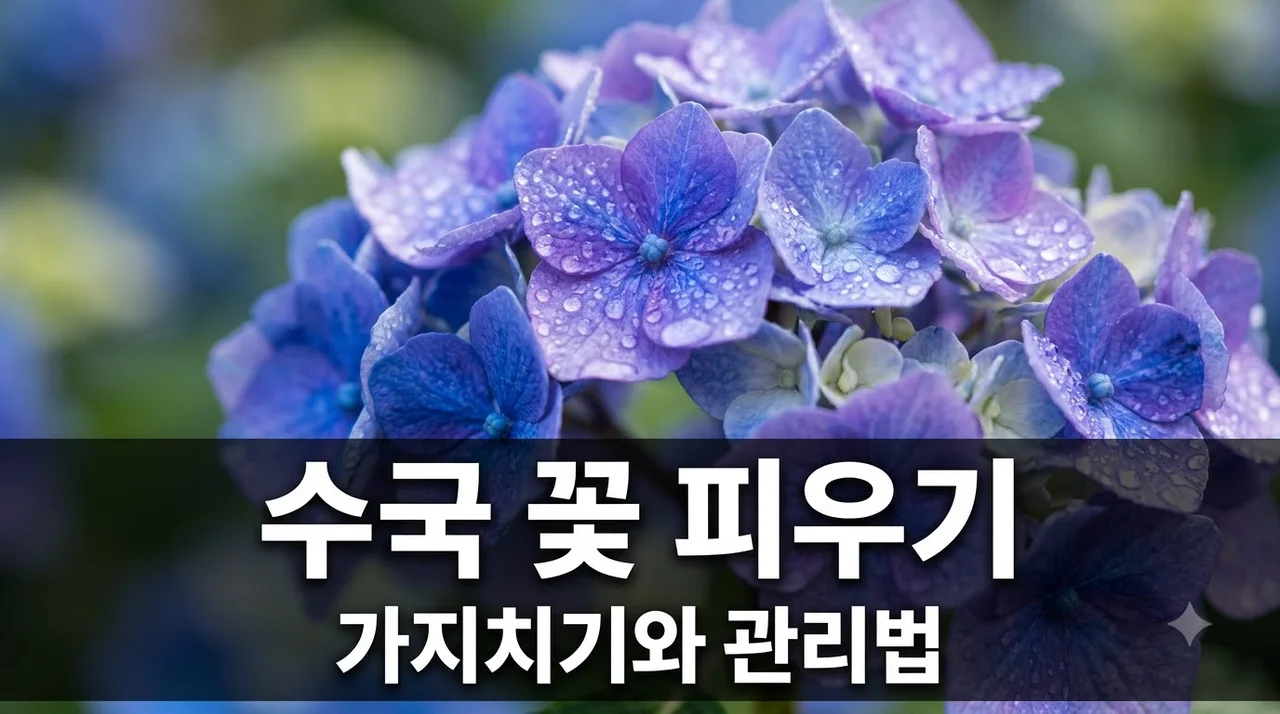 수국 키우기, 꽃이 안 피는 이유와 꽃색·전정 관리법