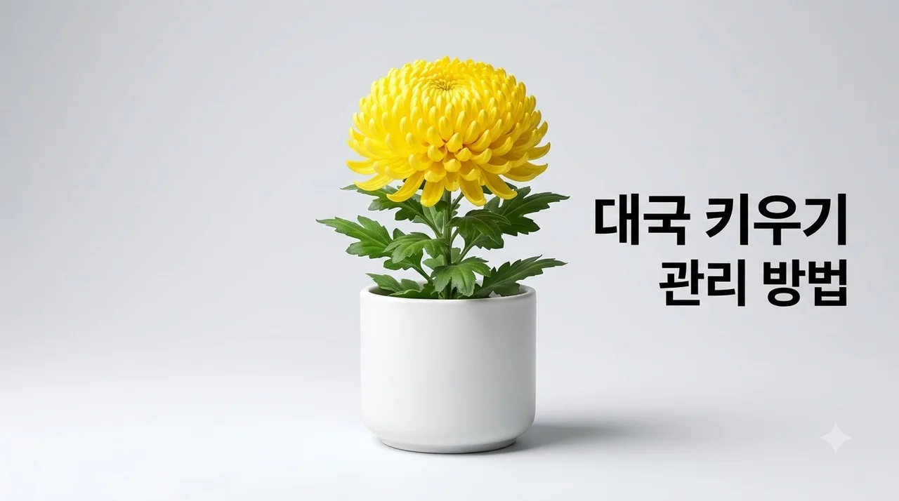 대국 키우기, 탐스러운 꽃을 피우기 위한 빛 관리와 지지대 세우기