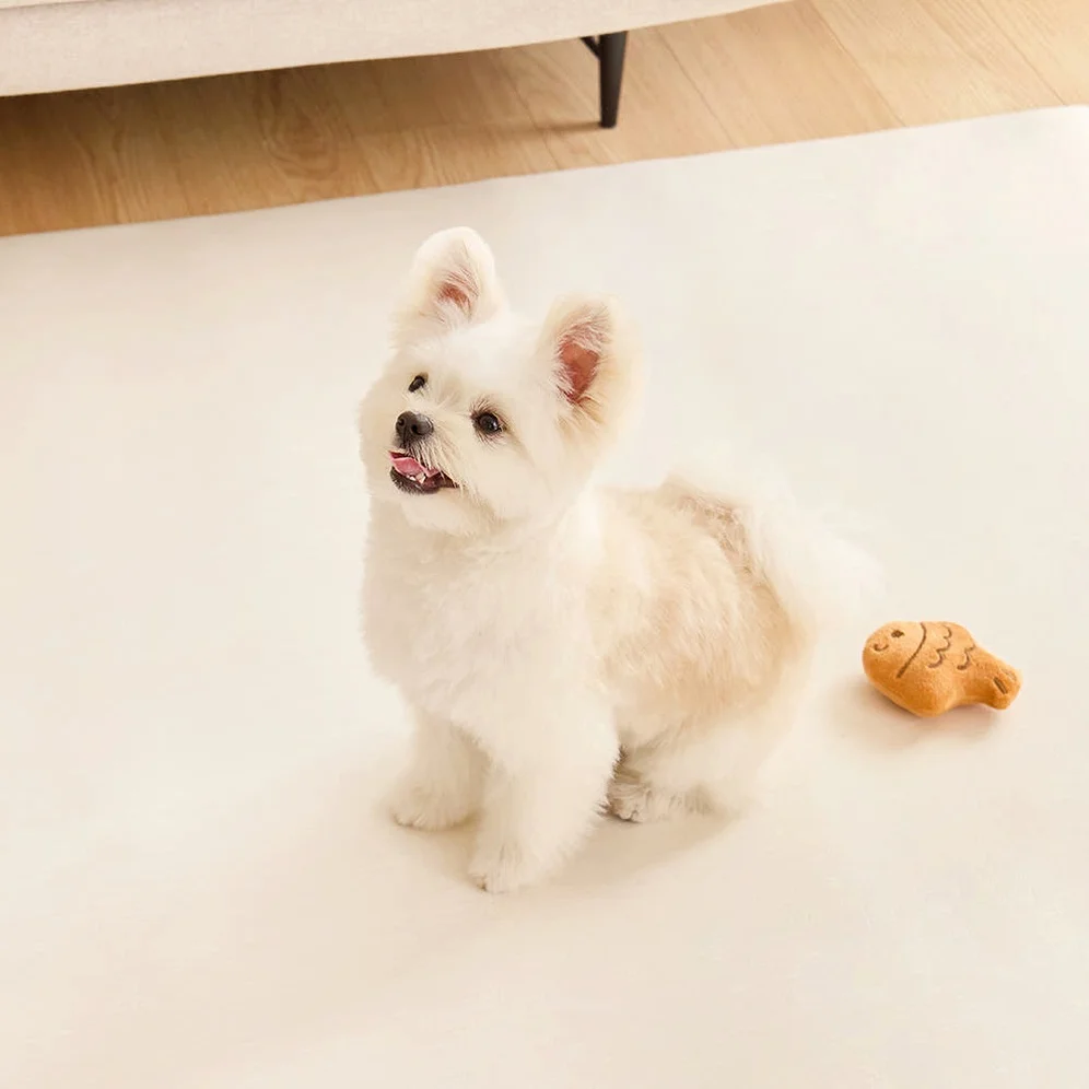 [커스텀100x200cm] 디팡 펫 미끄럼방지 강아지 고양이매트 애견 슬개골 반려견 시공 상세 이미지 1