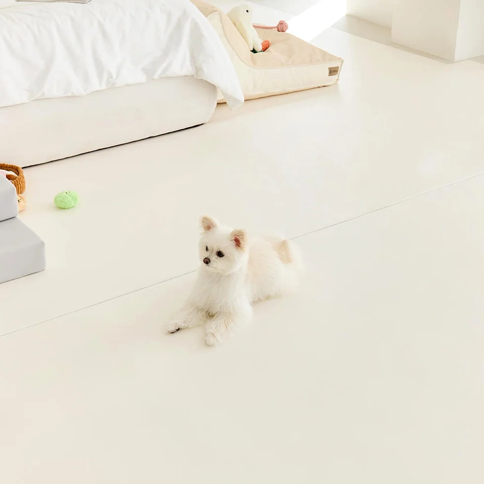 [커스텀100x200cm] 디팡 펫 미끄럼방지 강아지 고양이매트 애견 슬개골 반려견 시공 상세 이미지 5