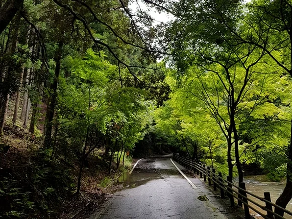 대마도2일/부산출발/4인출확 연합/노바호/부산에서 가장가까운 일본 대마도 1박2일/이즈하라 숙박/히타카츠 왕복 DAY 2 여행 사진