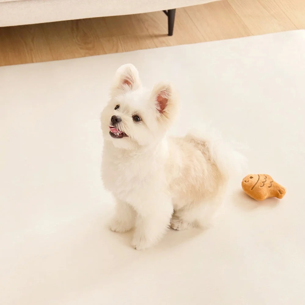 [커스텀100x200cm] 디팡 펫 미끄럼방지 강아지 고양이매트 애견 슬개골 반려견 시공 상세 이미지 9